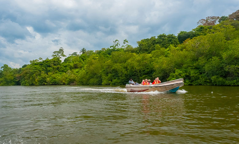 madhu-river-sufari