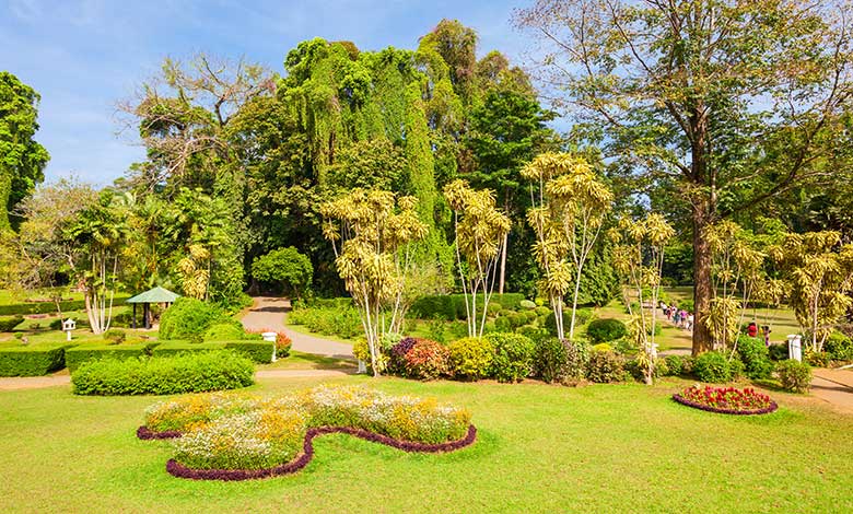 peradeniya-royal-botanic-gardens-2