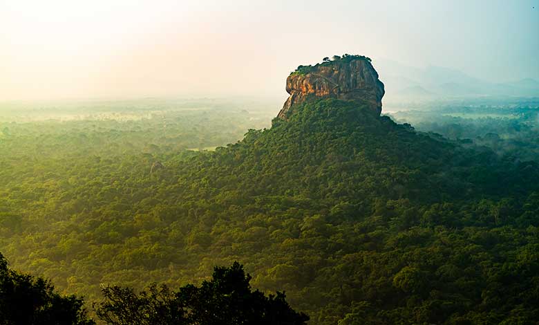 sigiriya-lion-rock-mount-sri-lag-dawn-top-view