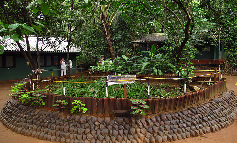 spice-garden-close-kandy-sri-lanka